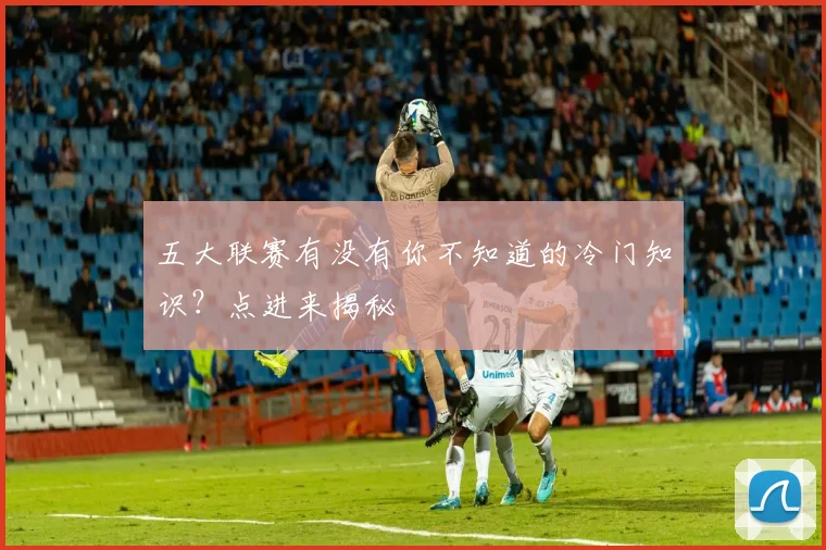 五大联赛有没有你不知道的冷门知识？点进来揭秘
